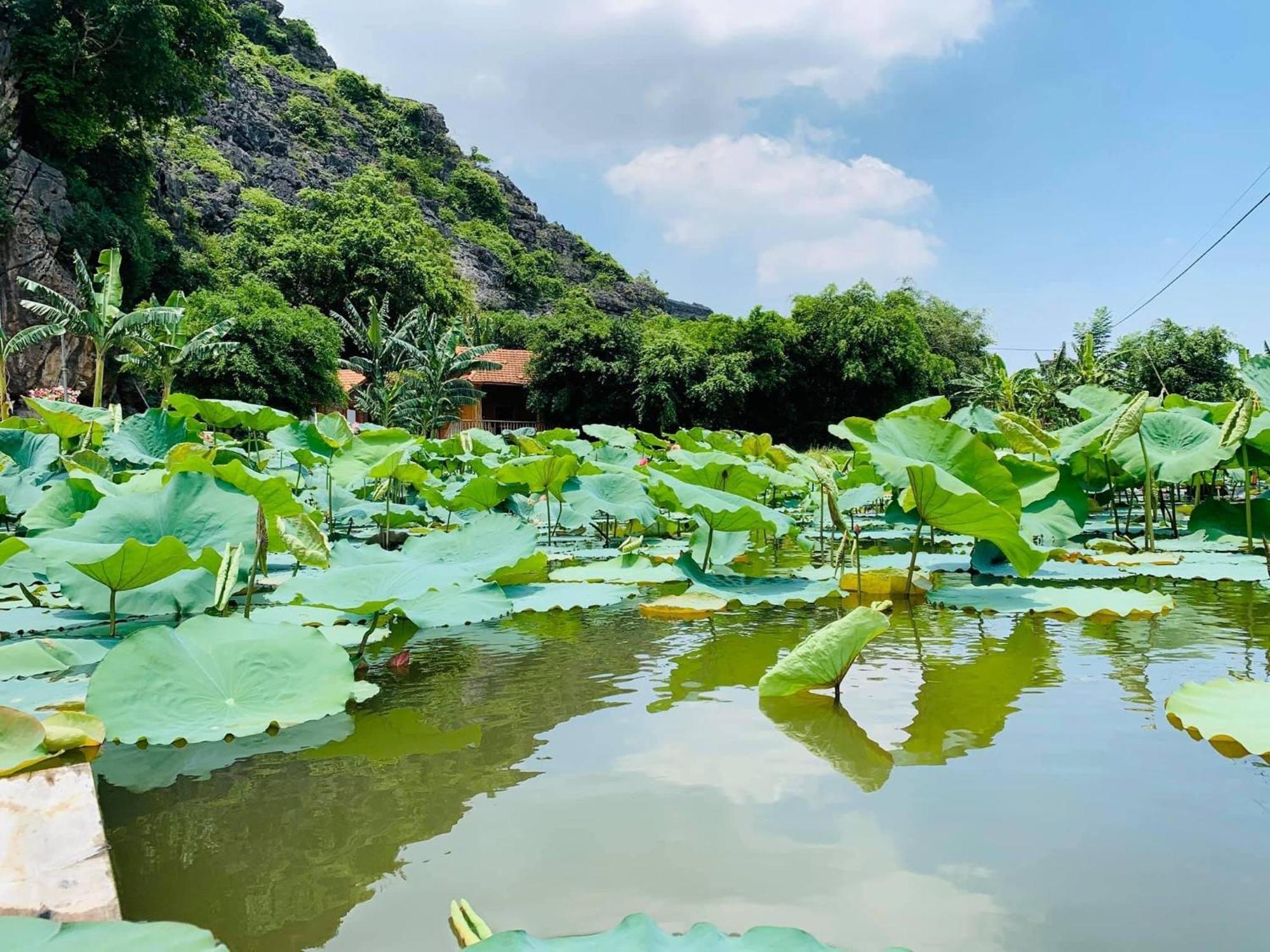 Lake Retreat نينه بينه المظهر الخارجي الصورة