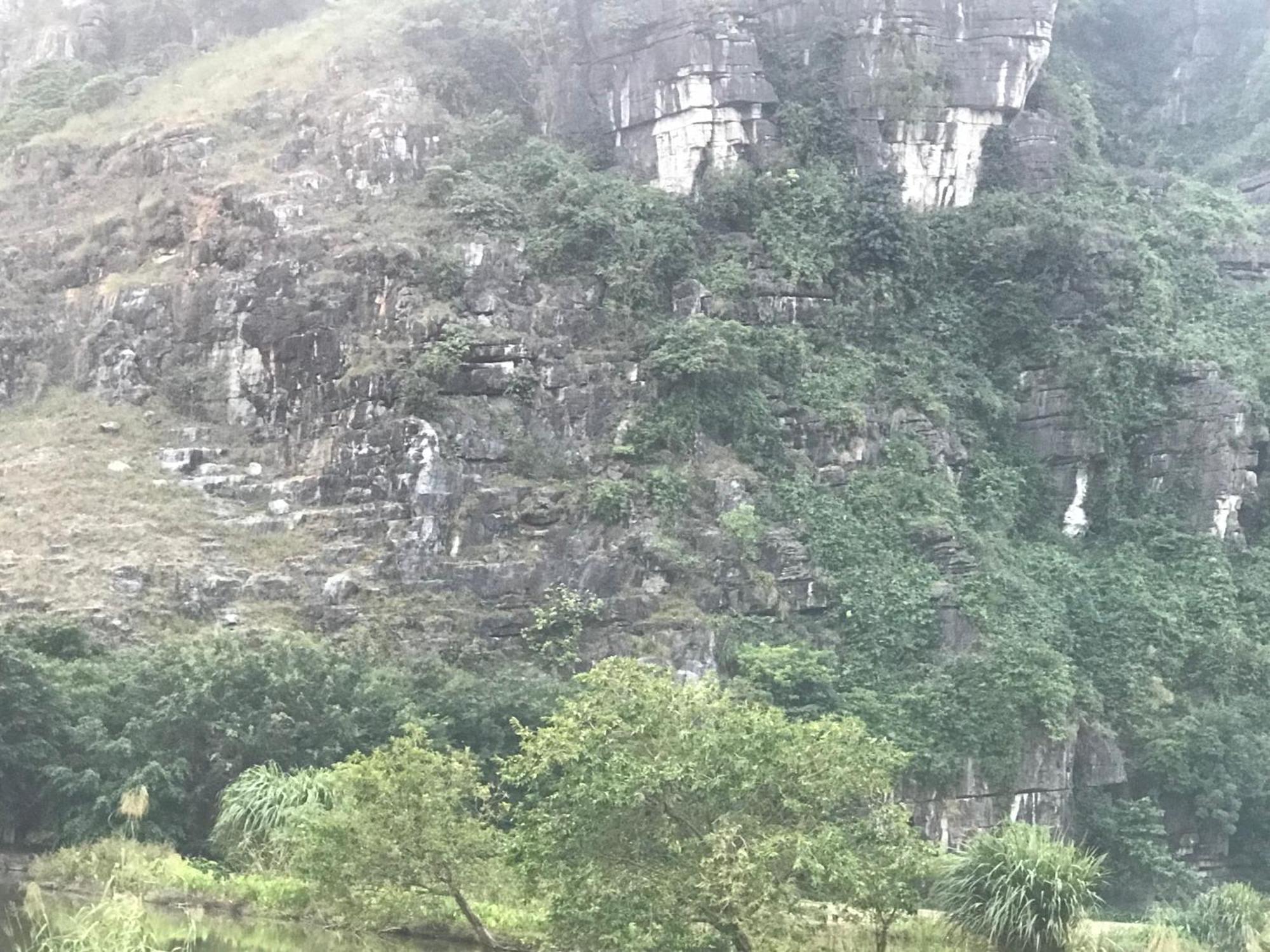 Lake Retreat نينه بينه المظهر الخارجي الصورة