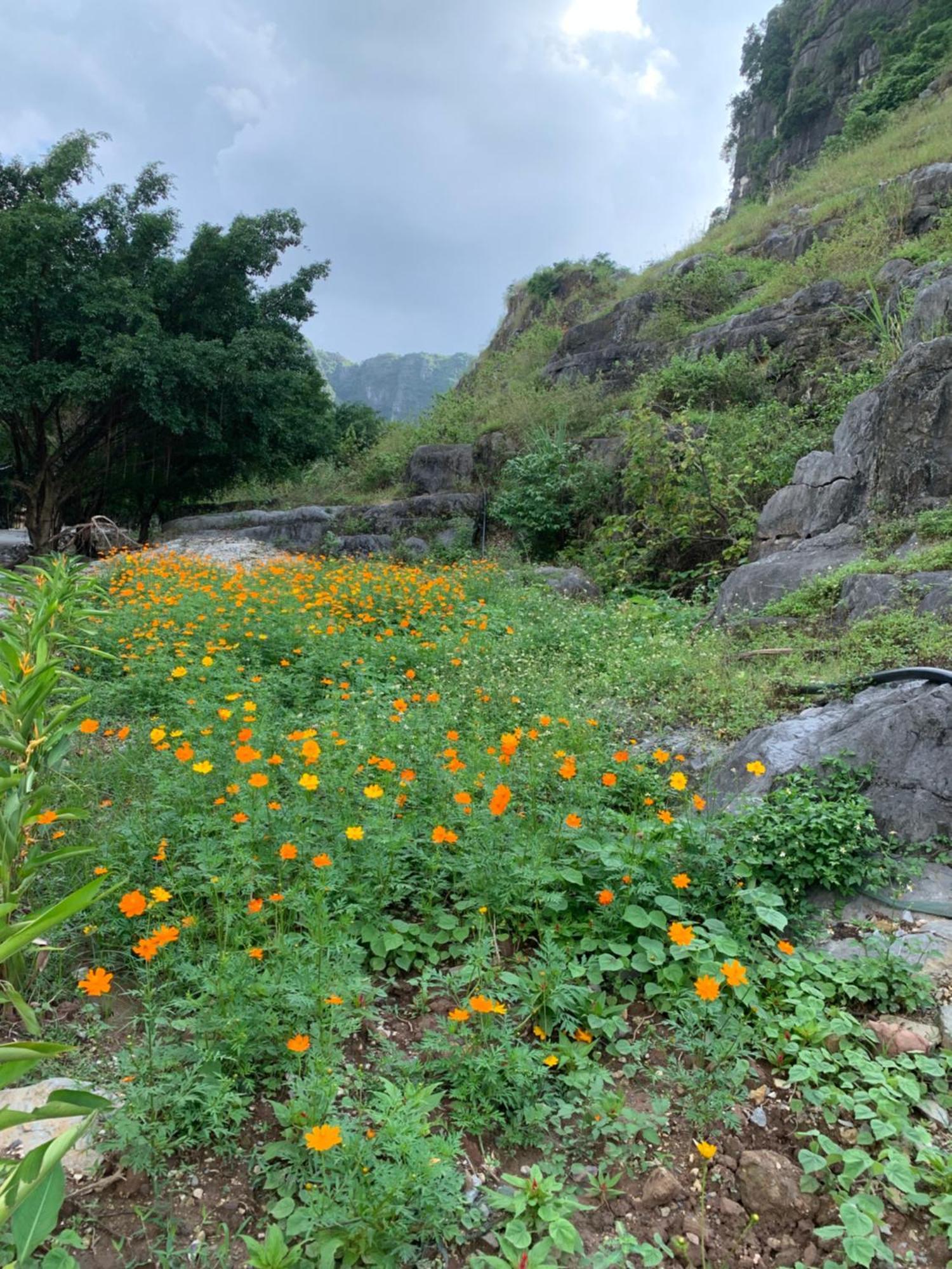 Lake Retreat نينه بينه المظهر الخارجي الصورة