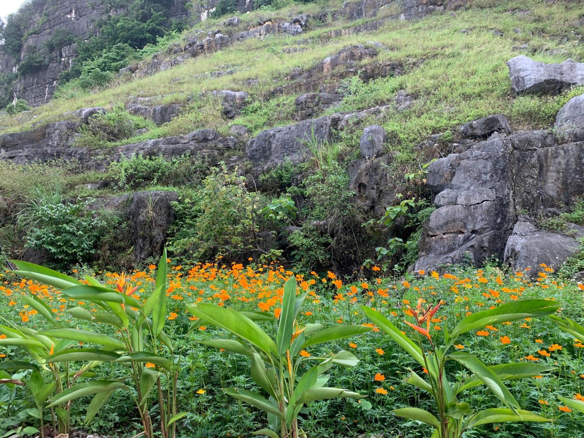 Lake Retreat نينه بينه المظهر الخارجي الصورة